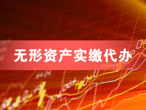 阳新无形资产实缴资本代办